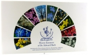 Healing Herbs Kit - 40 pc,(Flower Essence Services)