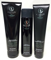Paul Mitchell Awapuhi Wild Ginger Mosturizing Lather Shampoo, Keratin Cream Rinse and Intensive Treatment Set