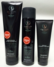 Paul Mitchell Awapuhi Wild Ginger Mosturizing Lather Shampoo 8.5 Oz. Keratin Cream Rinse 8.5 Oz. and Intensive Treatment 3.4 Oz. Trio Set