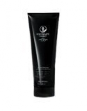 Paul Mitchell Awapuhi Wild Ginger Moisturizing Lather Shampoo 8.5 oz.