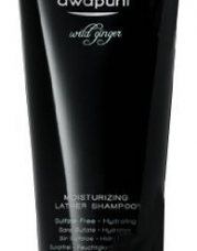 Paul Mitchell Awapuhi Wild Ginger Moisturizing Lather Shampoo 33.8 oz