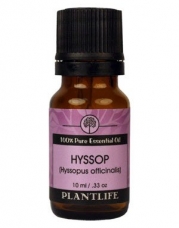 Hyssop Essential Oil (100% Pure and Natural, Therapeutic Grade) 10 ml