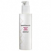 bareMinerals Skincare Purifying Facial Cleanser