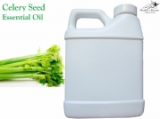 1 Gallon Celery seed essential oil