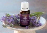 Lavender Essential Oil  - 15 ml