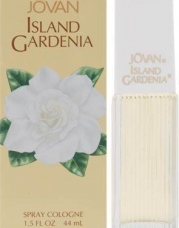 Jovan Island Gardenia Perfume by Coty for women Personal Fragrances