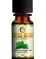 100% Natural Peppermint Essential Oil-Undiluted, Pure Therapeutic Grade - 15 Ml - 1/2 Oz Bottle