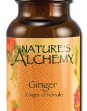 NATURE'S ALCHEMY Essential Oil Ginger 0.5 OZ