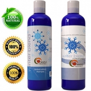 ★ Shampoo and Conditioner Set ★ Winter Blend Shampoo + Natural Conditioner Set with 5 Mint Varieties ★ Gentle Ingredients for Women & Men - Safe for Colored Treated Hair ★ USA Made By Maple Holistics