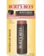 Burt's Bees Tinted Lip Balm, Caramel Daisy, 0.15 Ounce