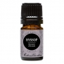 Hyssop 100% Pure Therapeutic Grade Essential Oil by Edens Garden- 5 ml
