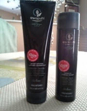 Paul Mitchell Awapuhi Wild Ginger Moisturizing Lather Shampoo 8.5 oz & Keratin Cream Rinse 8.5oz DUO