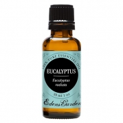 Eucalyptus Radiata 100% Pure Therapeutic Grade Essential Oil by Edens Garden- 30 ml