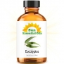Eucalyptus (Large 4 ounce) Best Essential Oil