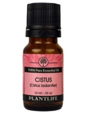 Cistus Essential Oil (100% Pure and Natural, Therapeutic Grade) 10 ml